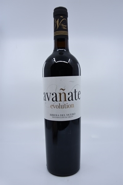 Bild von Avanate Evolution 2019
